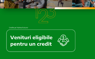 venituri eligibile pentru un credit