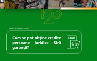Cum se pot obține credite persoane juridice fără garanții?