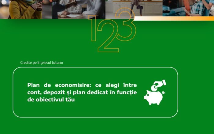 plan de economisire