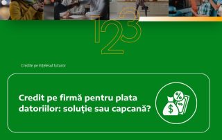 credit-pe-firma-pentru-plata-datoriilor