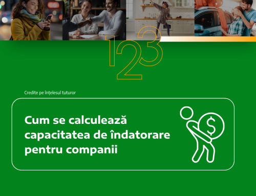 Cum se calculează capacitatea de îndatorare pentru companii